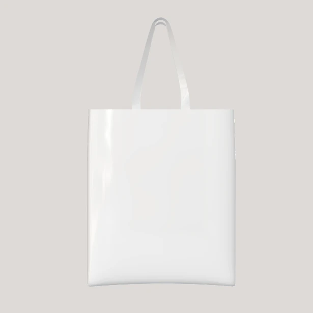 tote bag mockup